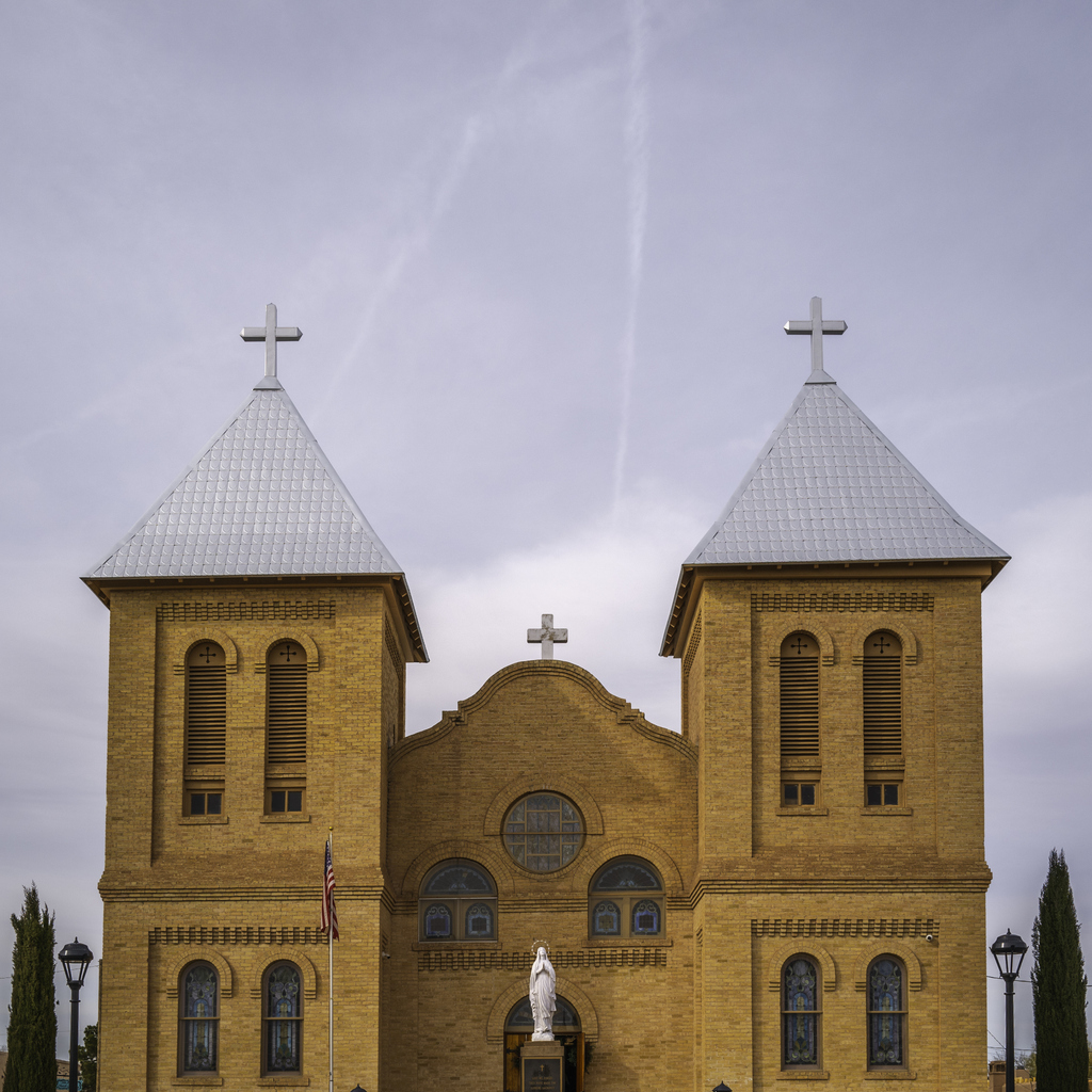 Las Cruces Tree Services